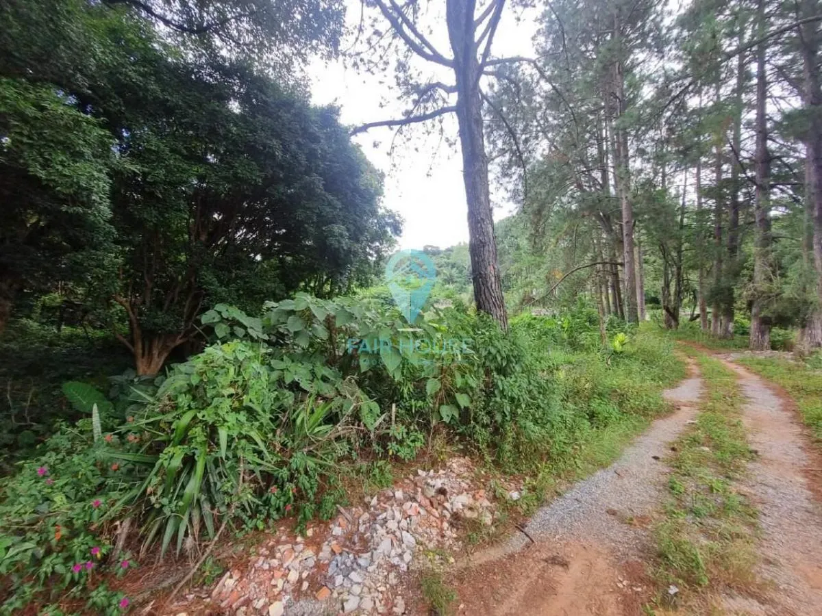 Sítio à venda de 7 ha em Piedade, SP, Brasil
