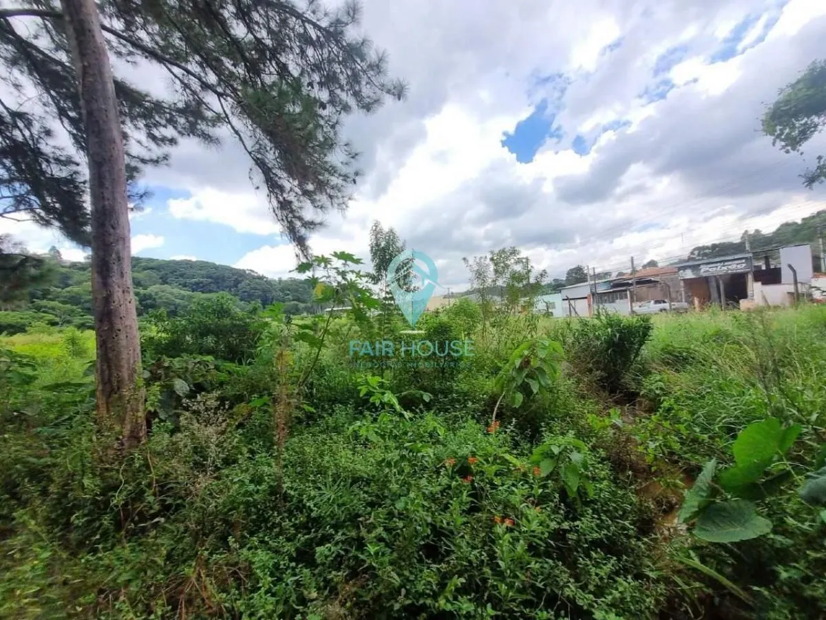 Sítio à venda de 7 ha em Piedade, SP, Brasil