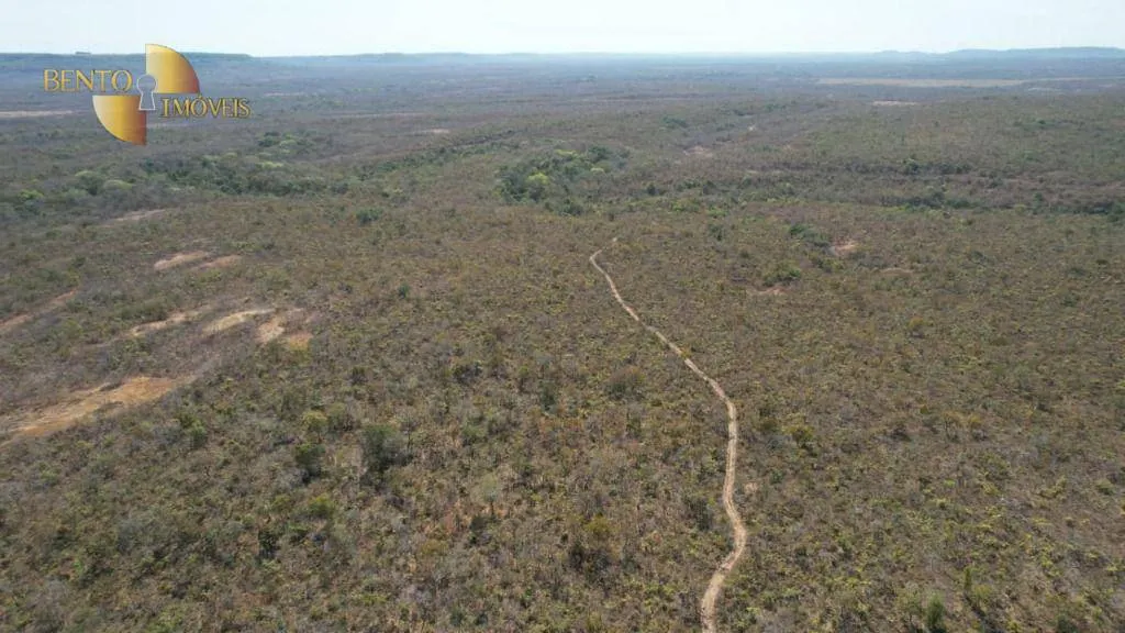 Fazenda à venda de 2.300 ha em Paranatinga, MT, Brasil