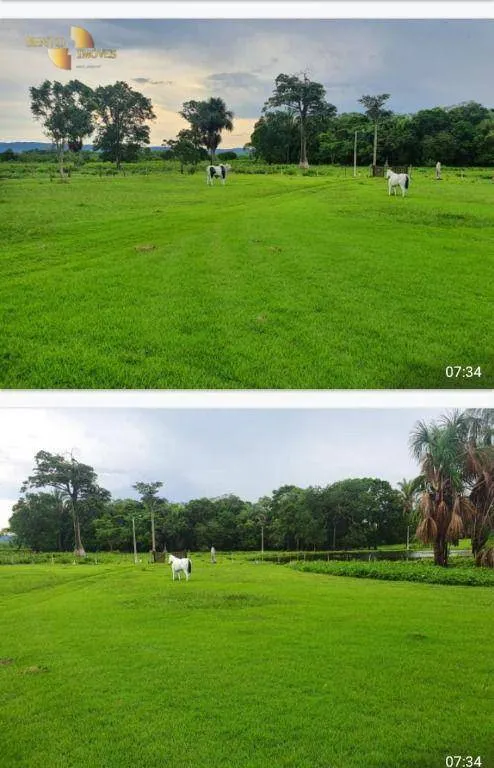 Farm for sale of 450 acres in Jangada, MT, Brazil