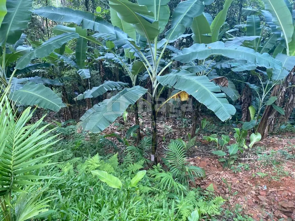 Farm for sale of 3,800 m² in Canelinha, SC, Brazil