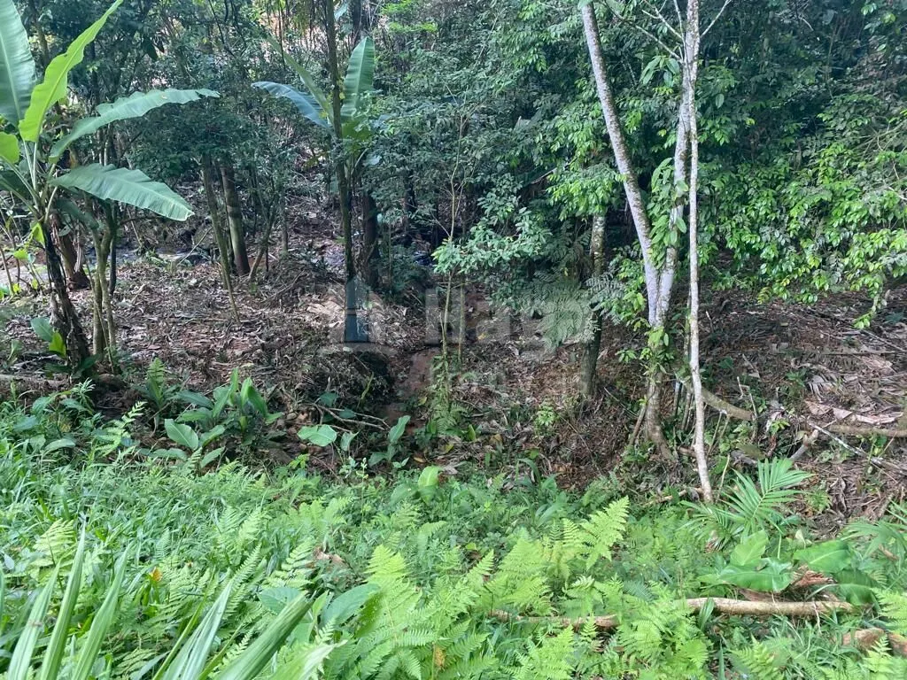 Farm for sale of 3,800 m² in Canelinha, SC, Brazil