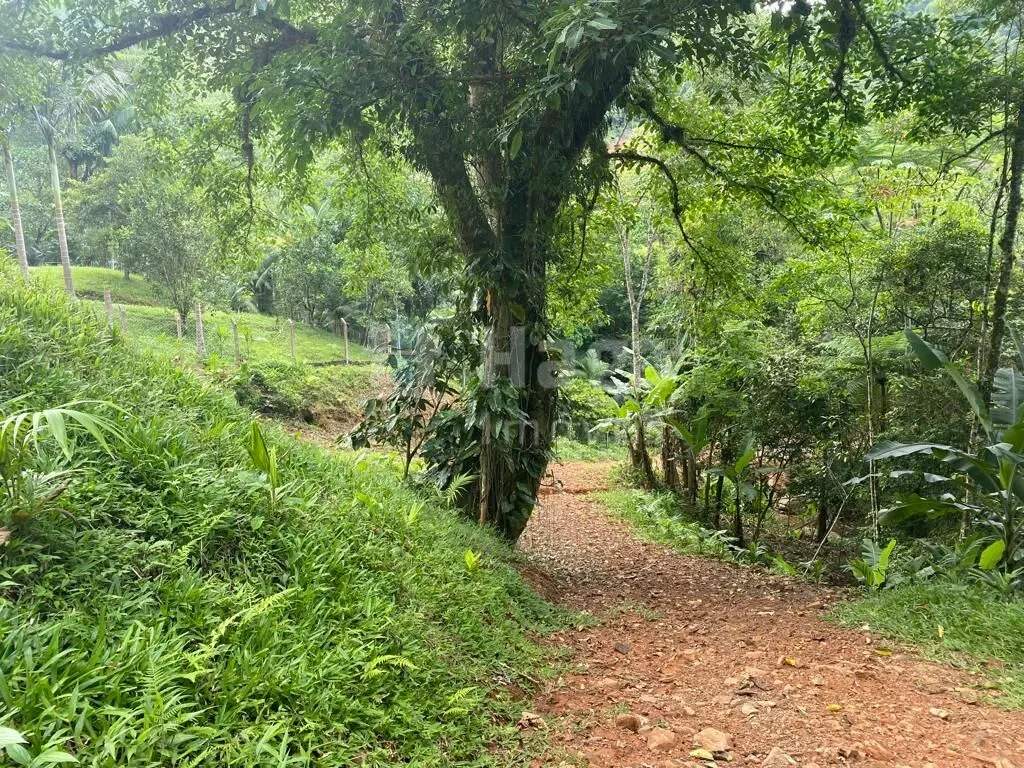 Fazenda à venda de 3.800 m² em Canelinha, SC, Brasil