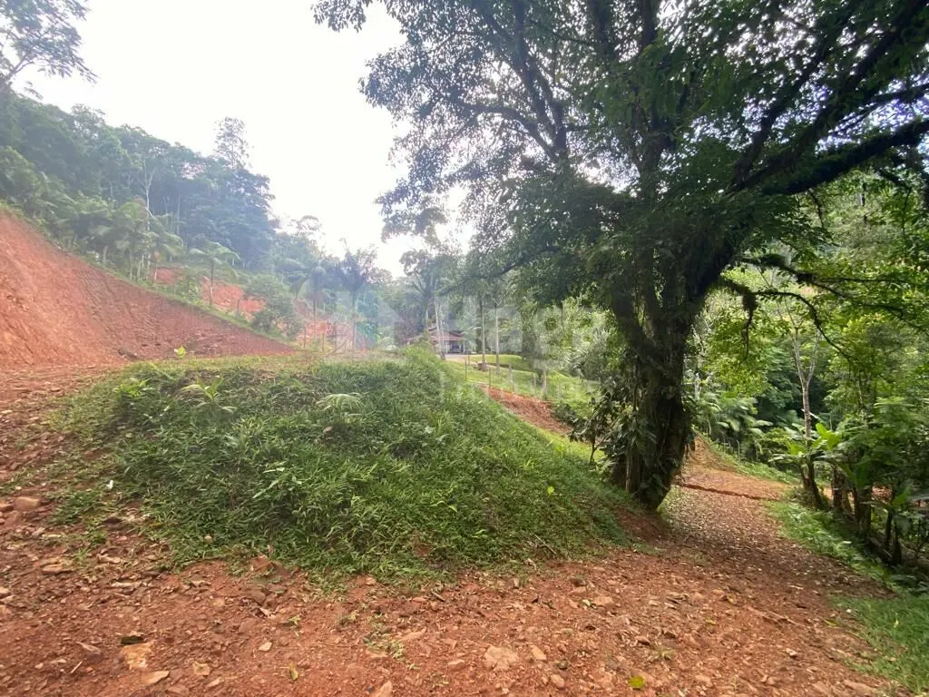 Farm for sale of 3,800 m² in Canelinha, SC, Brazil