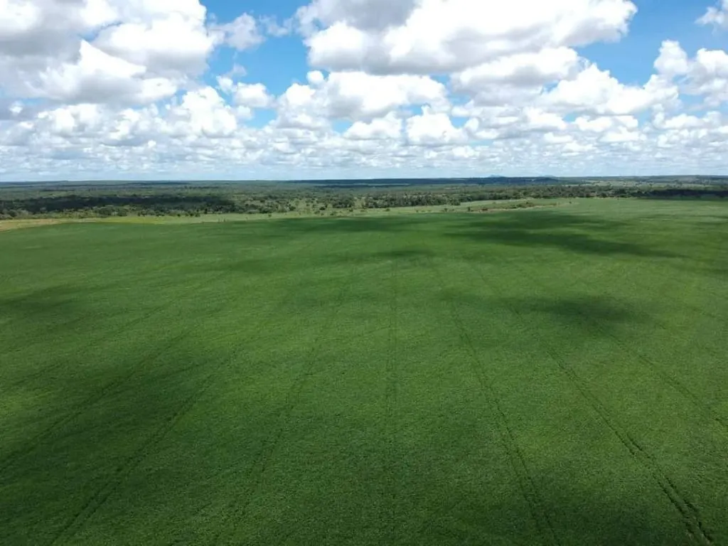 Fazenda à venda de 39.241 ha em Santa Terezinha, MT, Brasil