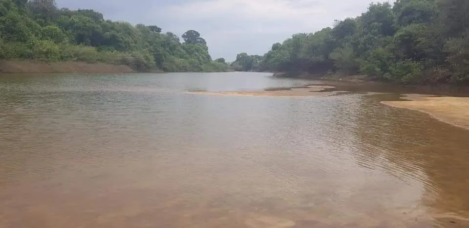 Fazenda à venda de 39.241 ha em Santa Terezinha, MT, Brasil