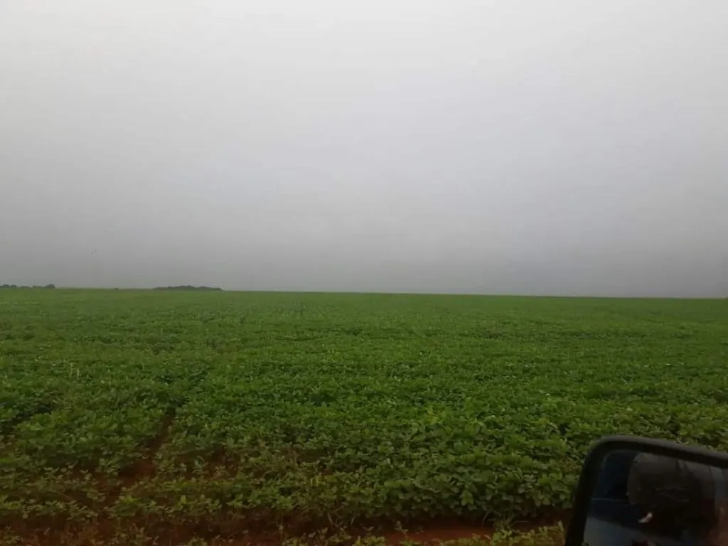 Fazenda à venda de 39.241 ha em Santa Terezinha, MT, Brasil