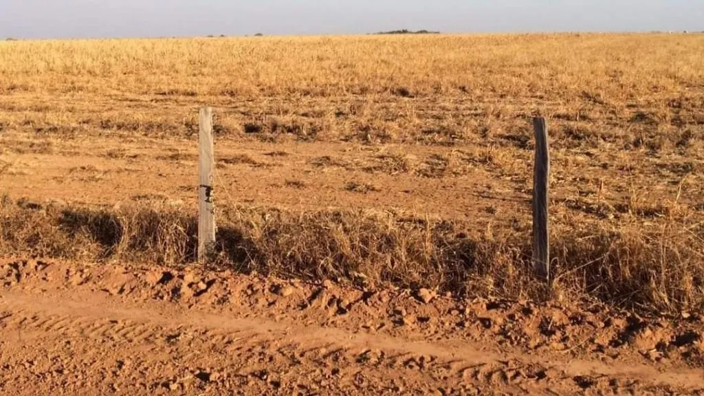 Fazenda à venda de 39.241 ha em Santa Terezinha, MT, Brasil