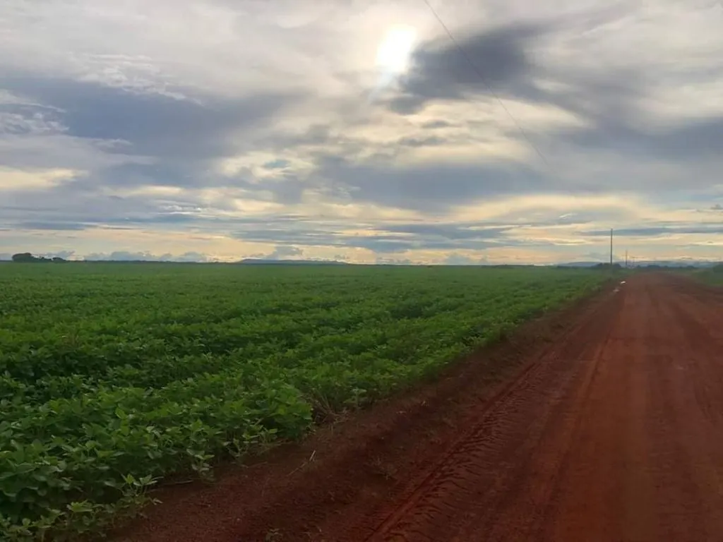 Fazenda à venda de 39.241 ha em Santa Terezinha, MT, Brasil