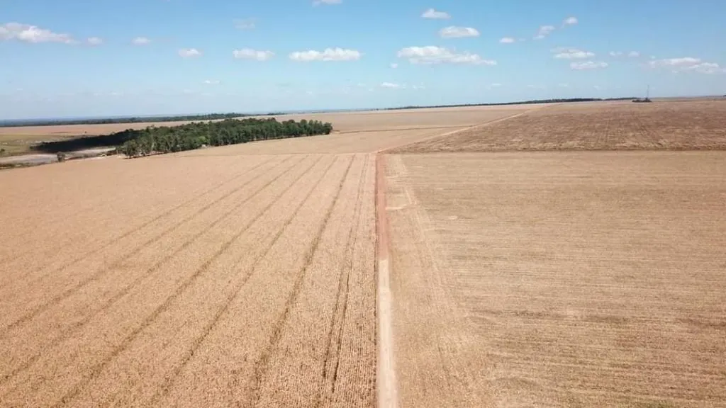 Fazenda à venda de 39.241 ha em Santa Terezinha, MT, Brasil