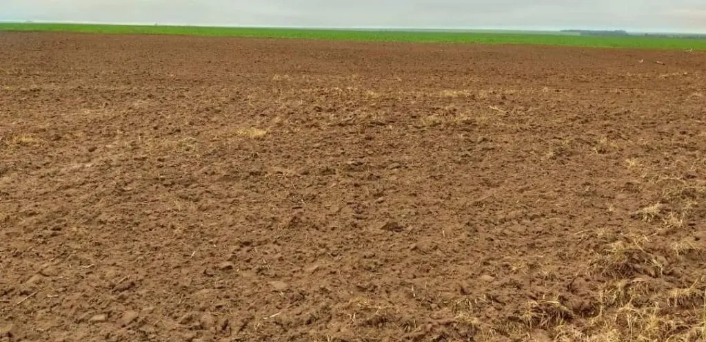 Fazenda à venda de 39.241 ha em Santa Terezinha, MT, Brasil