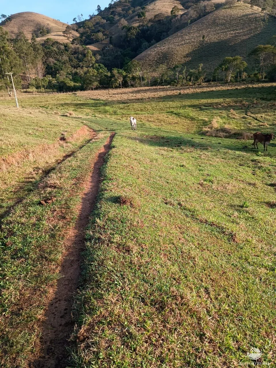 Small farm for sale of 30 acres in Cunha, SP, Brazil
