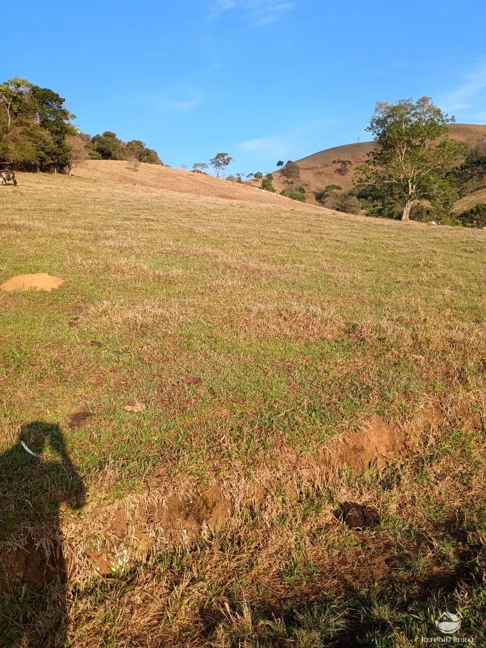 Small farm for sale of 30 acres in Cunha, SP, Brazil