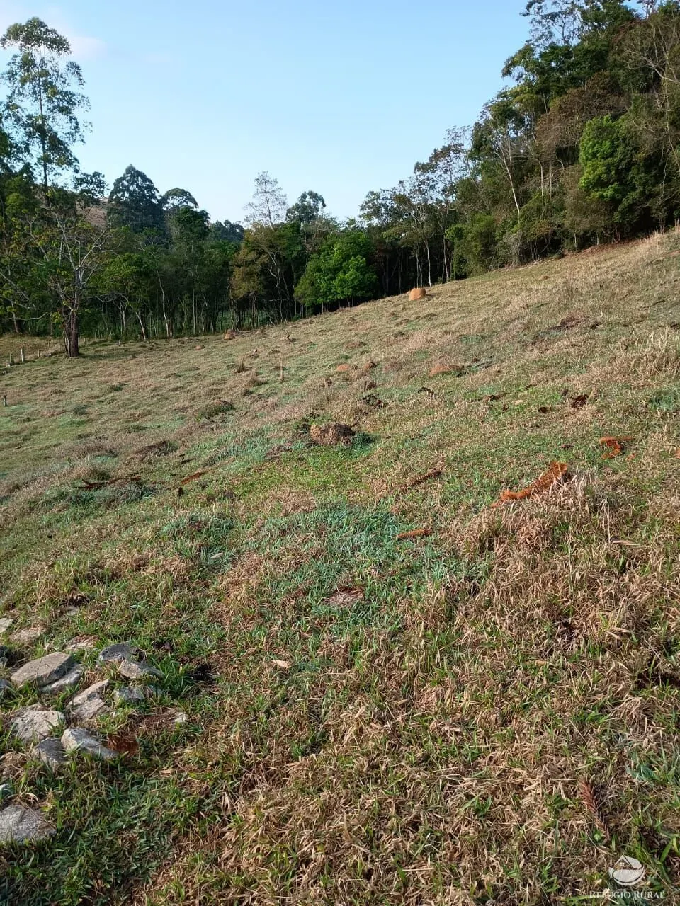 Small farm for sale of 30 acres in Cunha, SP, Brazil