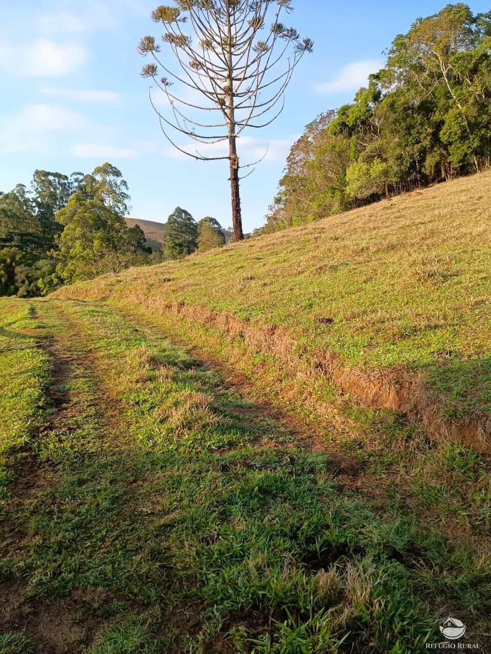Small farm for sale of 30 acres in Cunha, SP, Brazil