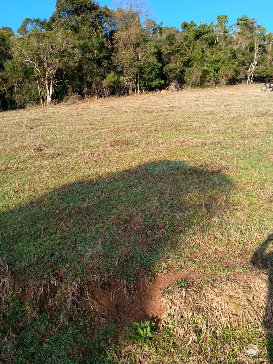 Small farm for sale of 30 acres in Cunha, SP, Brazil