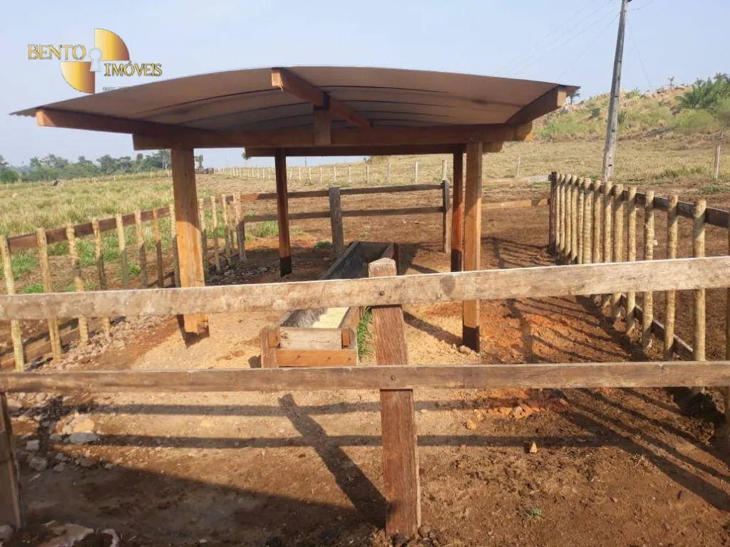 Farm for sale of 13,727 acres in Colíder, MT, Brazil