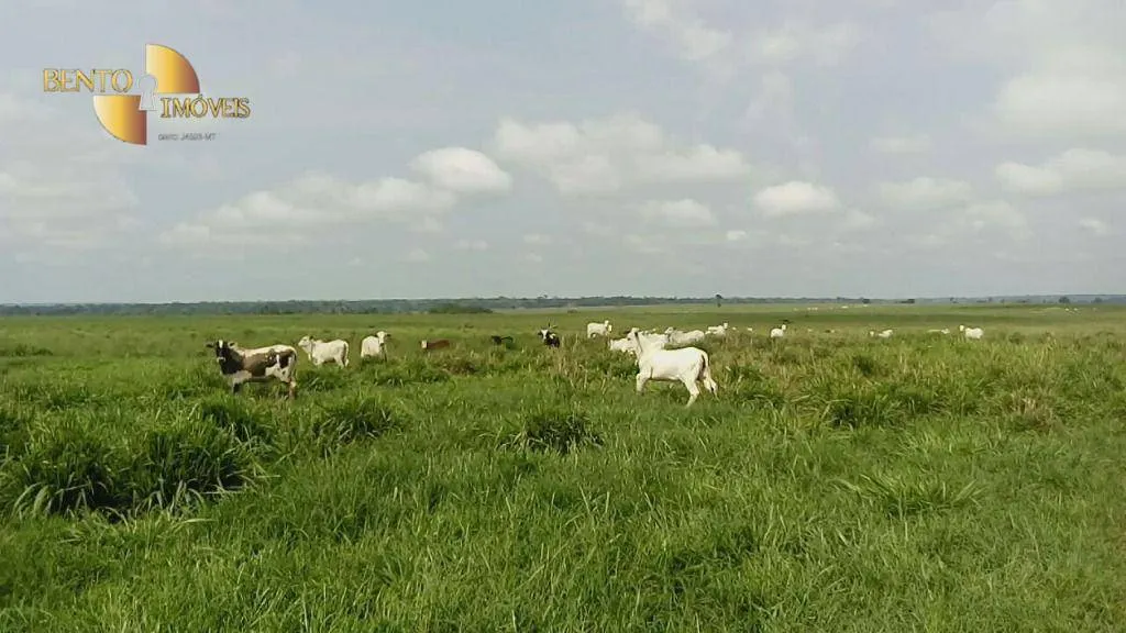 Farm for sale of 13,727 acres in Colíder, MT, Brazil