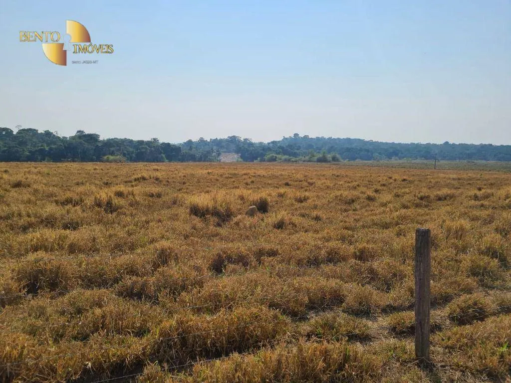 Farm for sale of 13,727 acres in Colíder, MT, Brazil