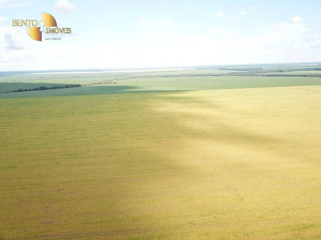 Farm for sale of 13,727 acres in Colíder, MT, Brazil