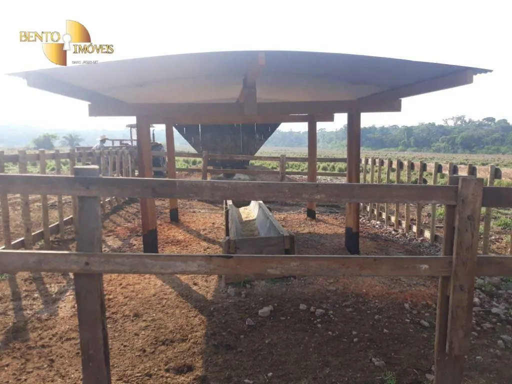 Farm for sale of 13,727 acres in Colíder, MT, Brazil