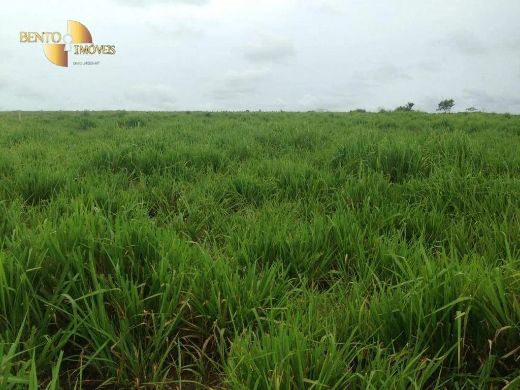 Farm for sale of 13,727 acres in Colíder, MT, Brazil