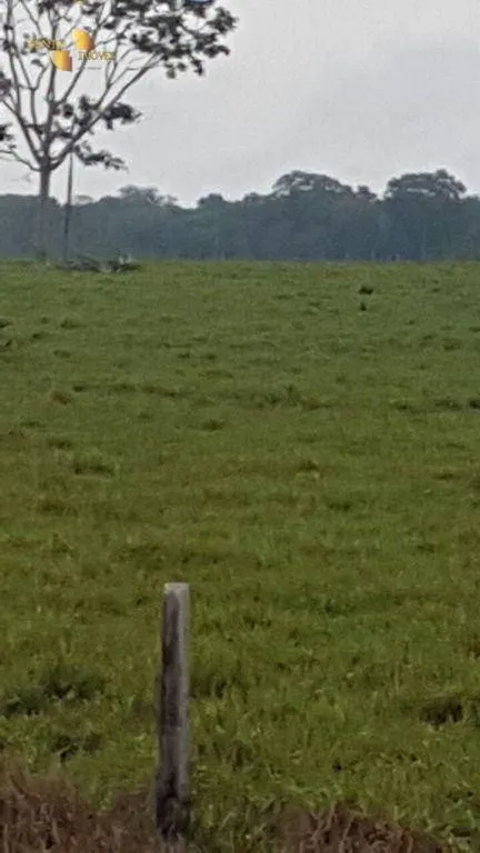 Farm for sale of 13,727 acres in Colíder, MT, Brazil