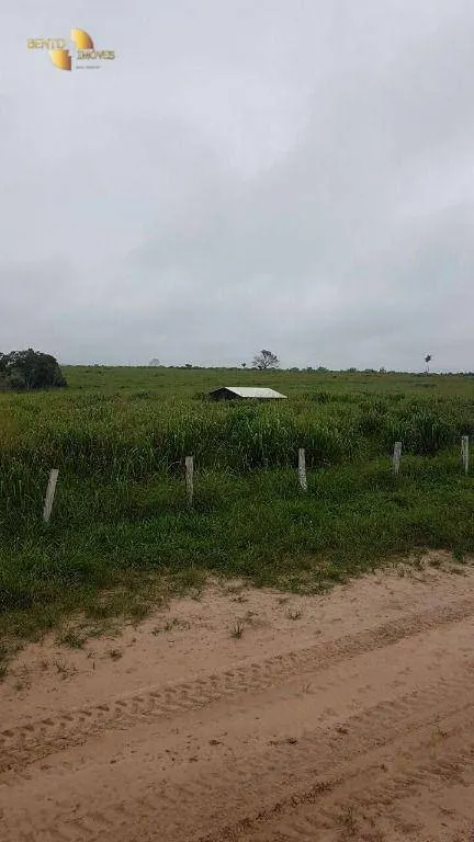 Farm for sale of 13,727 acres in Colíder, MT, Brazil