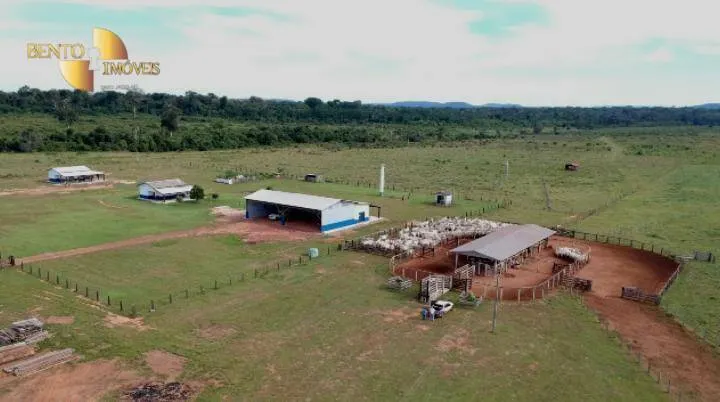 Farm for sale of 13,727 acres in Colíder, MT, Brazil