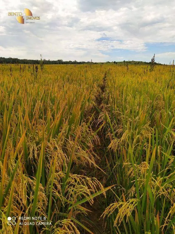 Farm for sale of 13,727 acres in Colíder, MT, Brazil