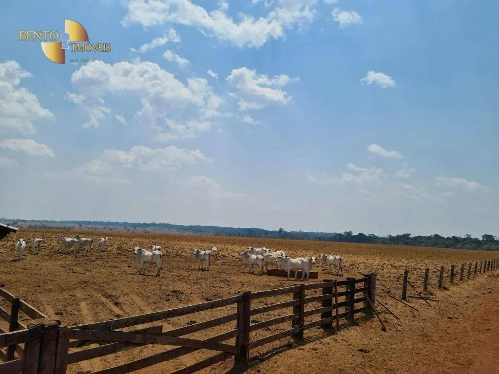 Farm for sale of 13,727 acres in Colíder, MT, Brazil