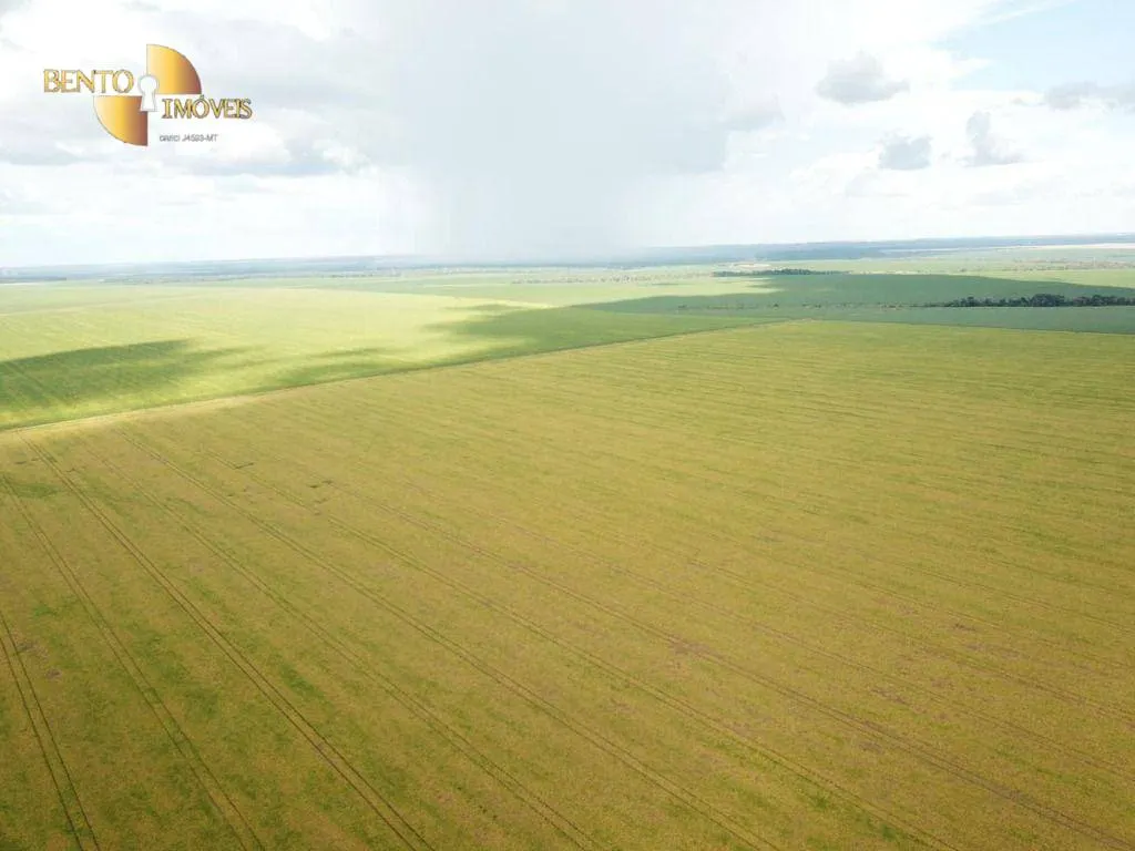Farm for sale of 13,727 acres in Colíder, MT, Brazil