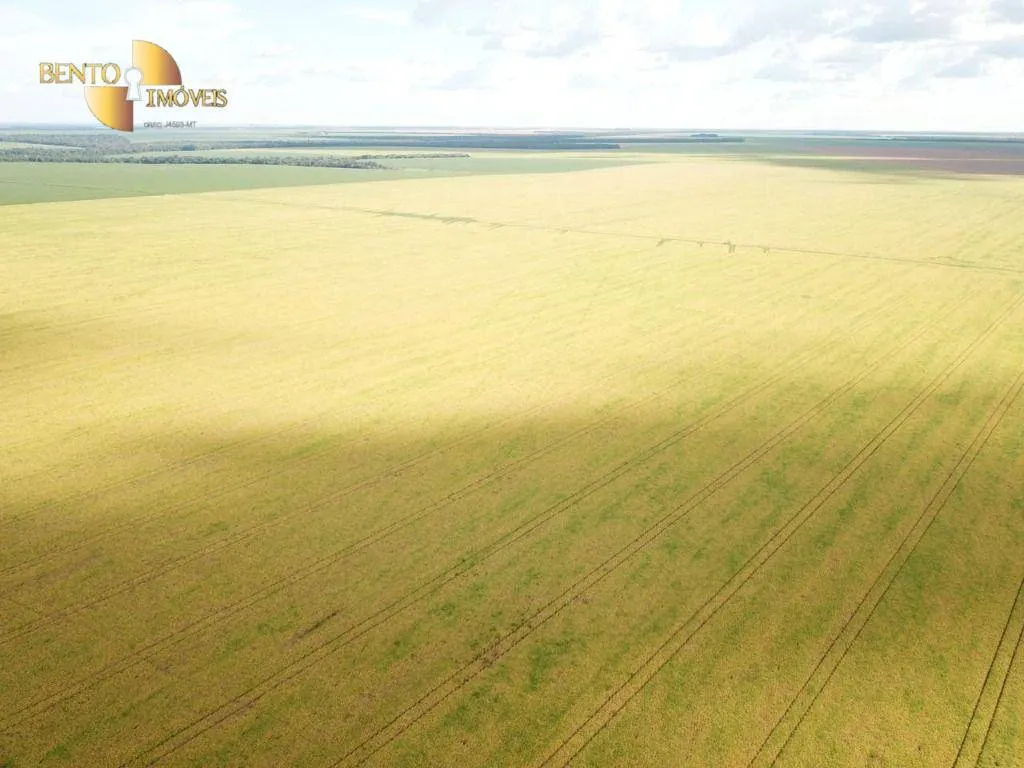 Farm for sale of 13,727 acres in Colíder, MT, Brazil
