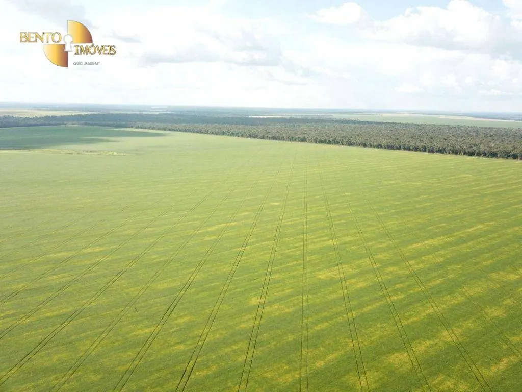 Farm for sale of 13,727 acres in Colíder, MT, Brazil
