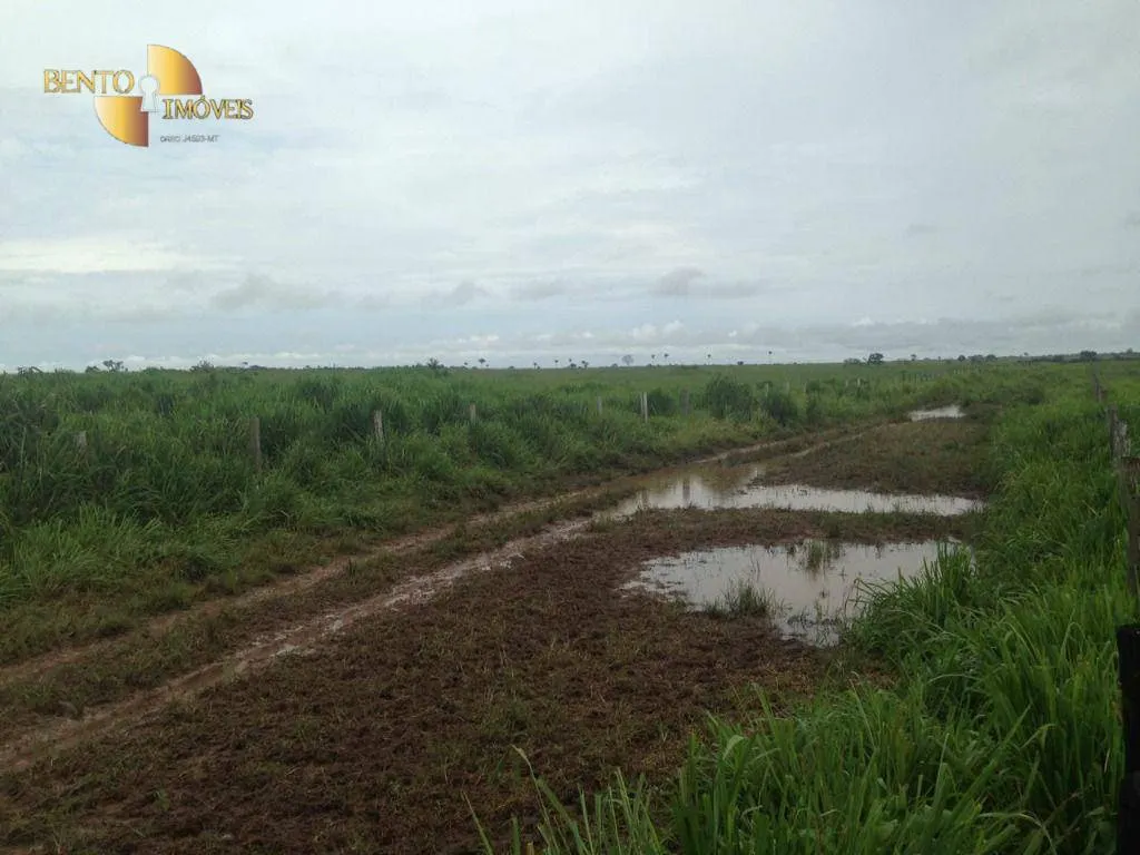 Farm for sale of 13,727 acres in Colíder, MT, Brazil