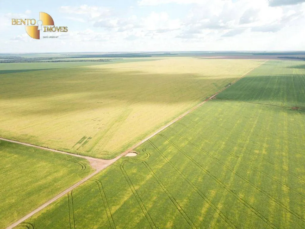 Farm for sale of 13,727 acres in Colíder, MT, Brazil