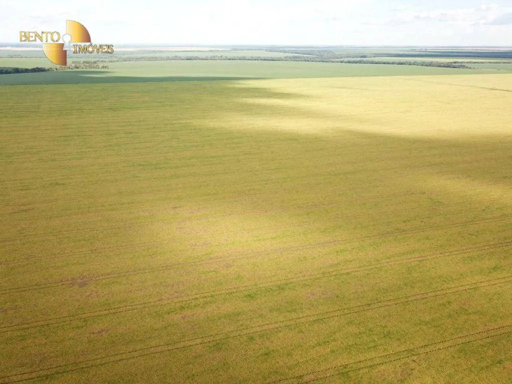 Farm for sale of 13,727 acres in Colíder, MT, Brazil