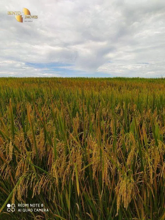 Farm for sale of 13,727 acres in Colíder, MT, Brazil