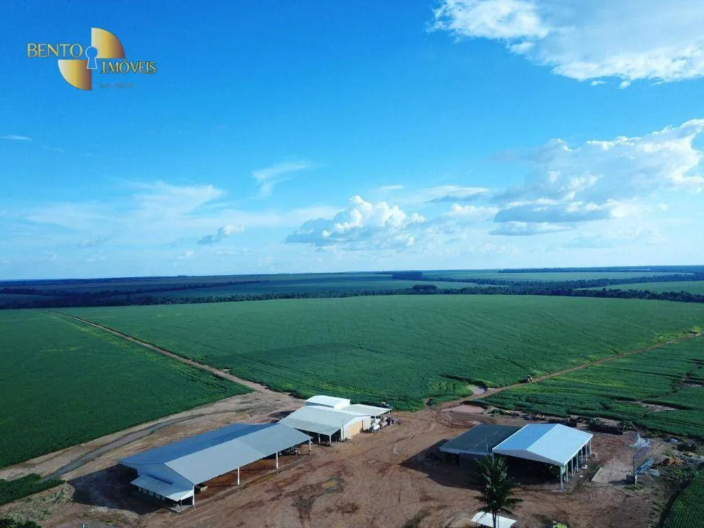 Farm for sale of 13,727 acres in Colíder, MT, Brazil