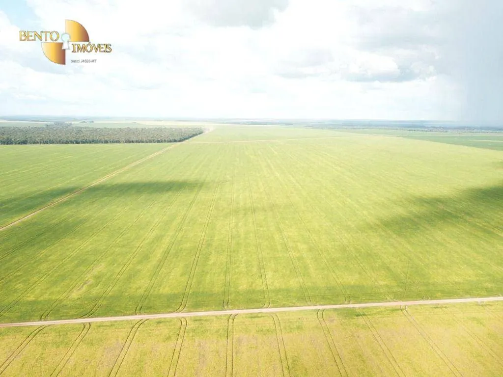 Farm for sale of 13,727 acres in Colíder, MT, Brazil