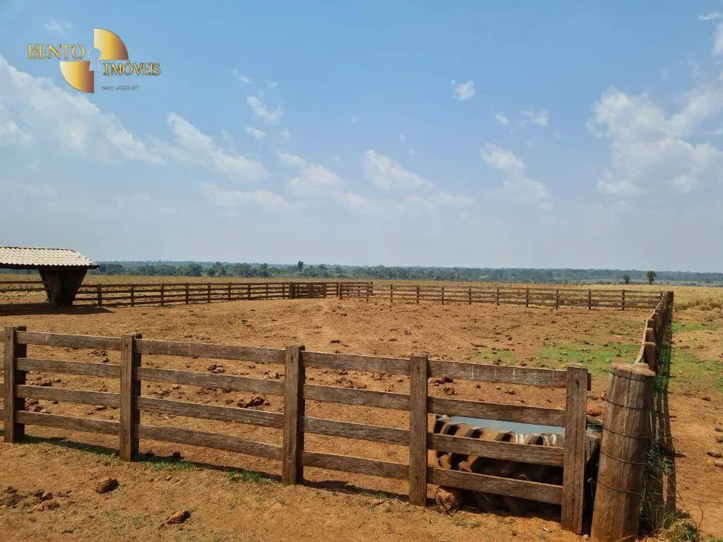 Farm for sale of 13,727 acres in Colíder, MT, Brazil