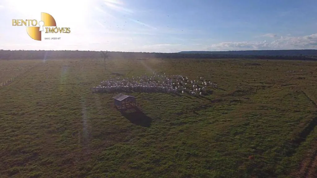 Farm for sale of 13,727 acres in Colíder, MT, Brazil