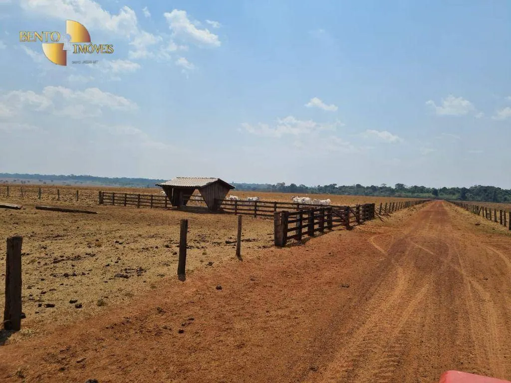Farm for sale of 13,727 acres in Colíder, MT, Brazil