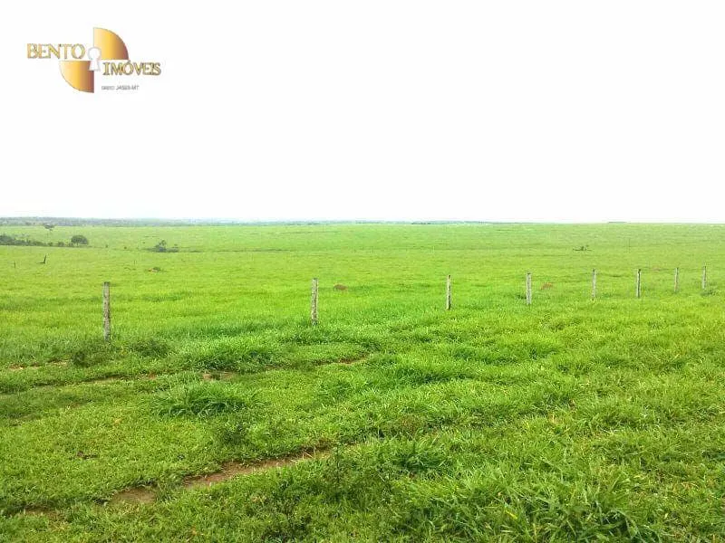 Farm for sale of 13,727 acres in Colíder, MT, Brazil