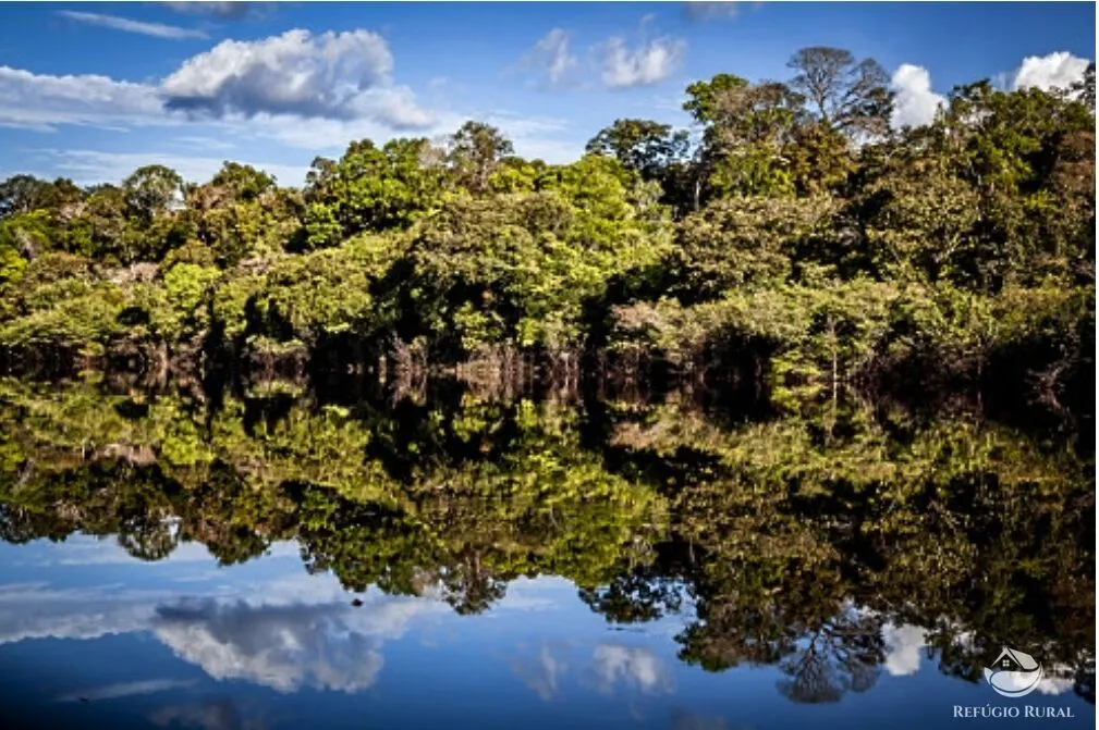 Fazenda à venda de 36.582 ha em Manicoré, AM, Brasil
