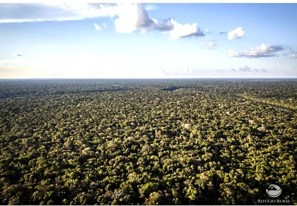 Fazenda à venda de 36.582 ha em Manicoré, AM, Brasil