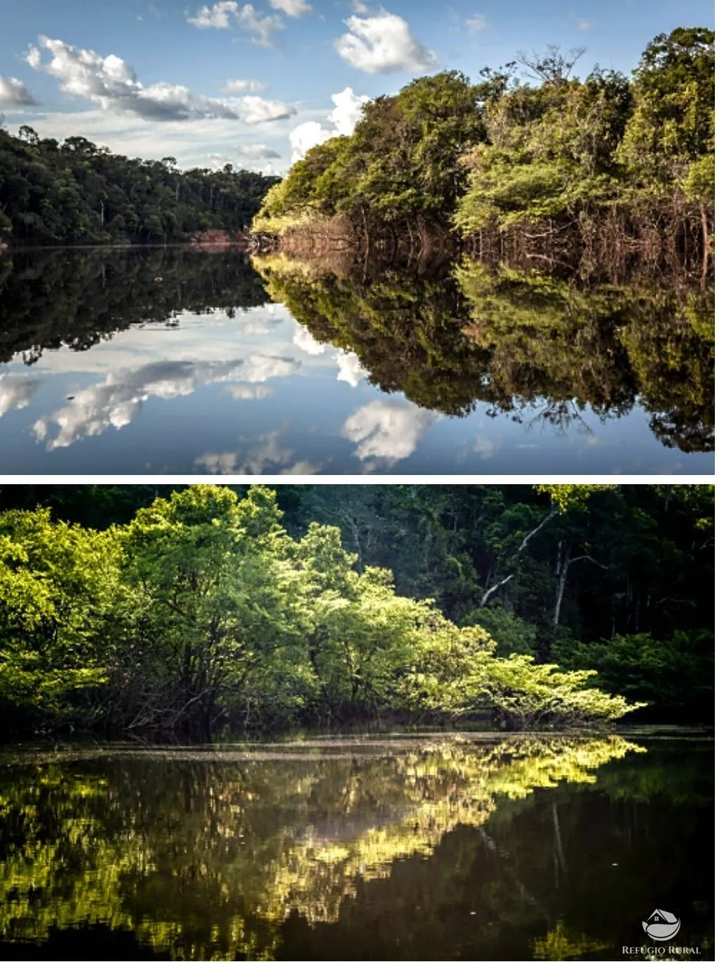 Fazenda à venda de 36.582 ha em Manicoré, AM, Brasil