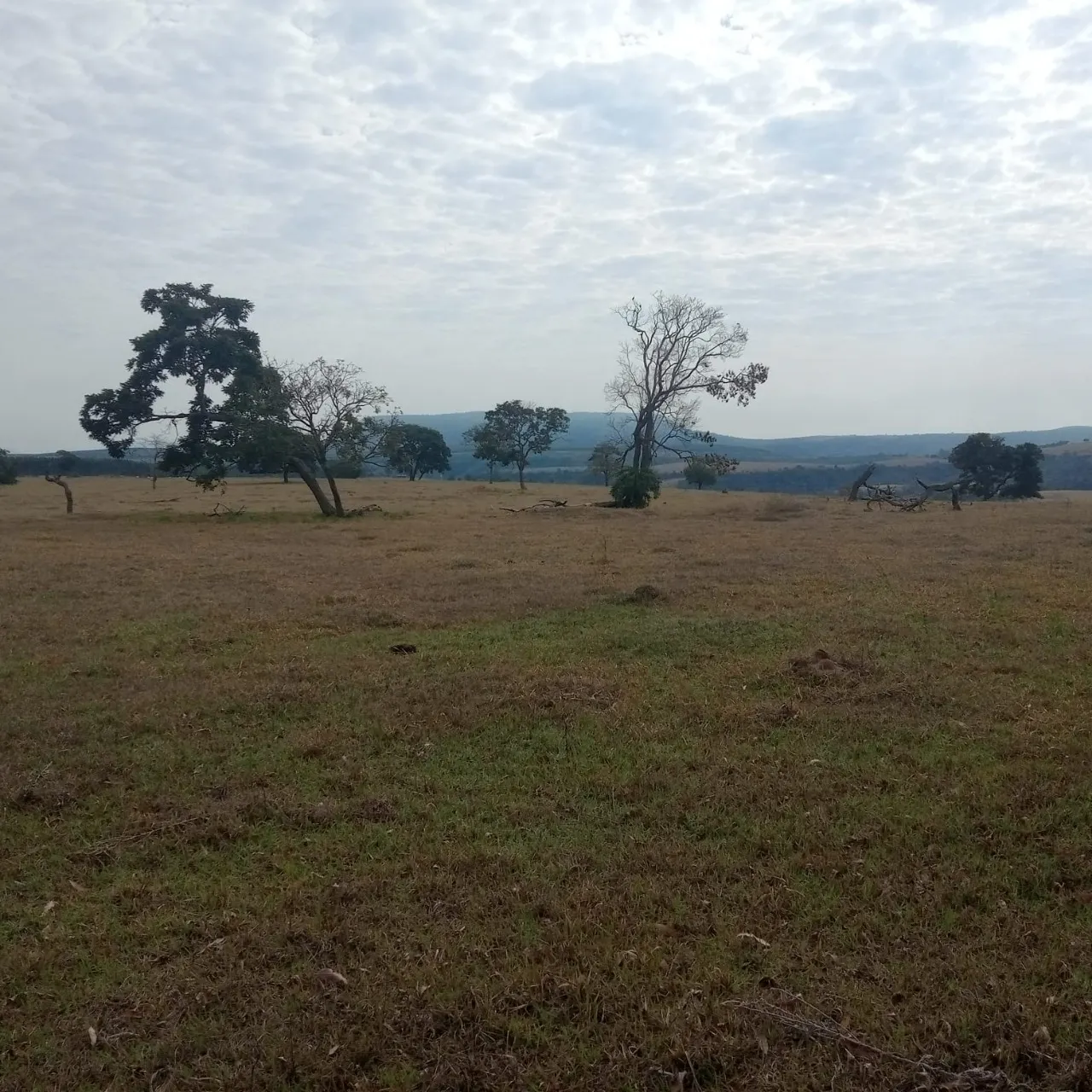 Fazenda à venda de 143 ha em Bofete, SP, Brasil