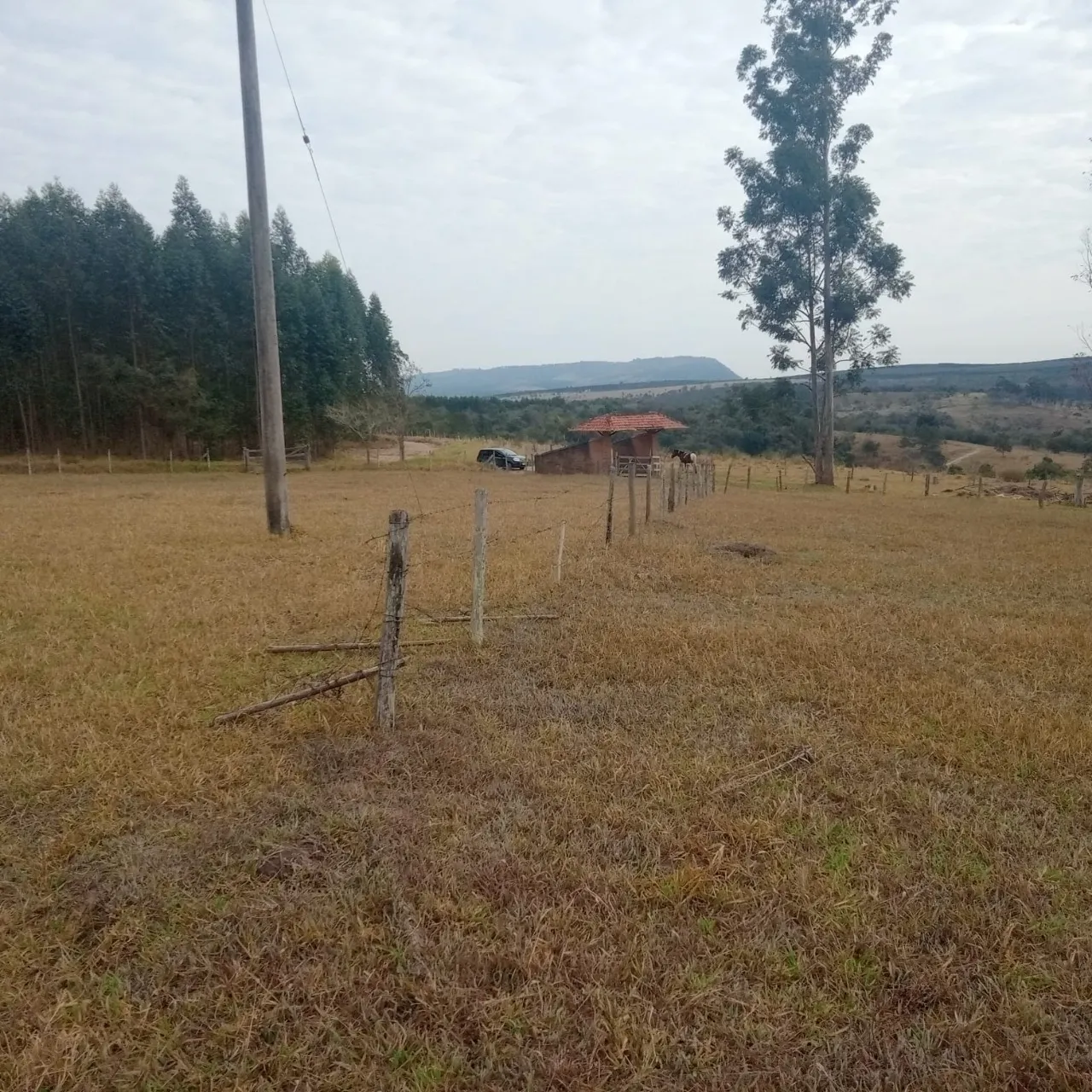 Fazenda à venda de 143 ha em Bofete, SP, Brasil
