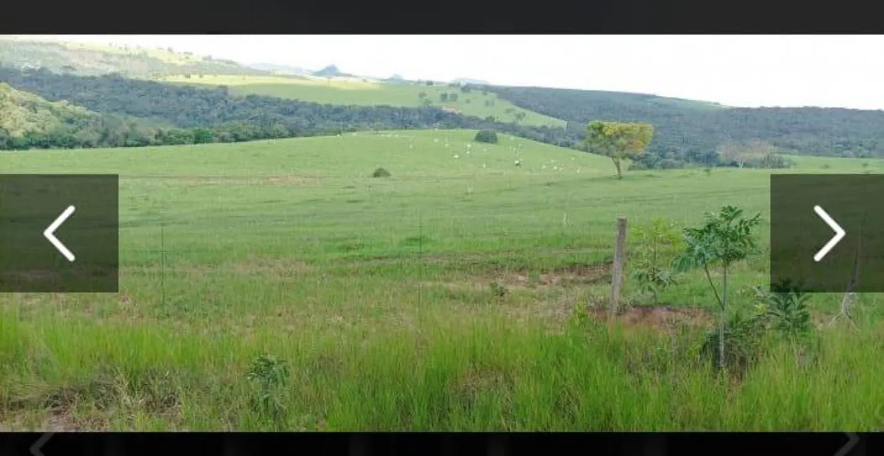Fazenda à venda de 143 ha em Bofete, SP, Brasil